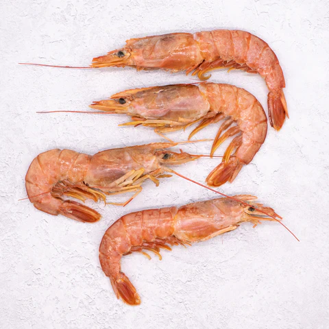 Royal Star Premium Head On Shrimps - 1kg 20/30