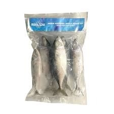 Royal Star Indian Mackerel - Whole Round Fish IQF
