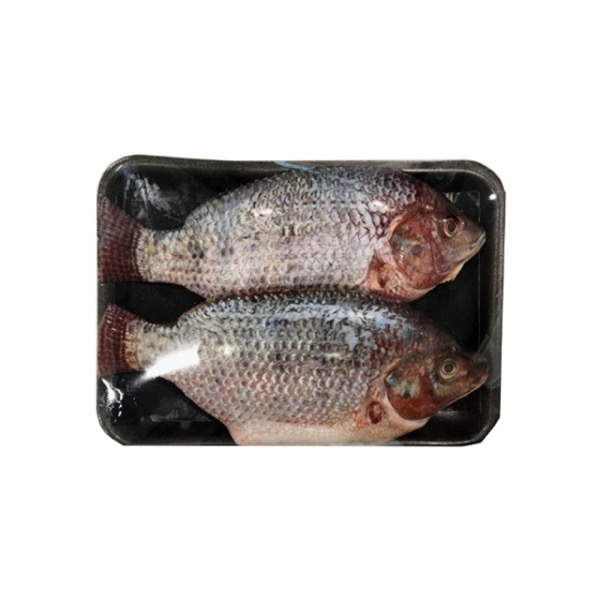 Tilapia x 2 - 2.2kg