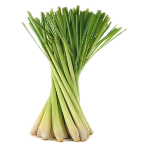Wings Lemon Grass Stick - 200g